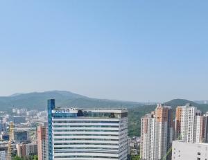 기사이미지